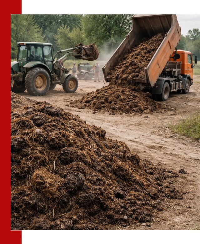 Доставка навоза самосвалами в Слободской для сельхозпотребностей